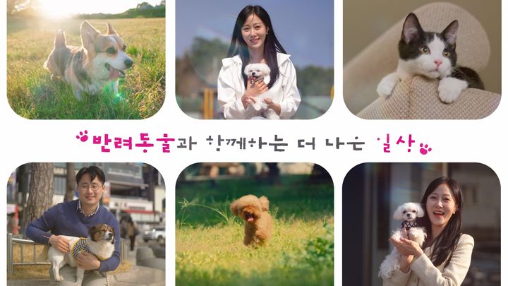 [부산=뉴시스] 부산시는 전국 최초로 '반려동물 일상의 돌봄'을 주제로 오는 7일부터 6월6일까지 홍보 캠페인을 실시한다. (사진=부산시 제공) 2026.04.06. photo@newsis.com *재판매 및 DB 금지