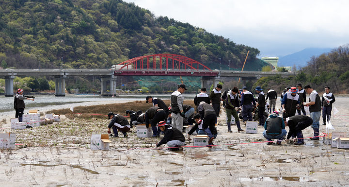 [창원소식]경남은행, 봉암갯벌 칠면초 군락지 복원 활동 등