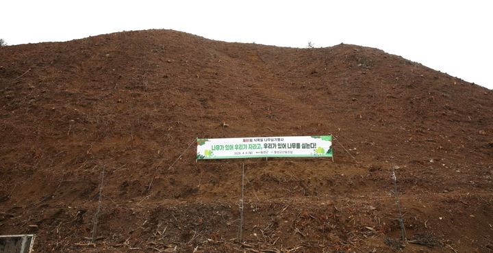 [횡성=뉴시스] 소나무재선충병 피해를 입은 공근면 매곡리 일원 모습. (사진=횡성군 제공) 2026.04.06. photo@newsis.com  *재판매 및 DB 금지