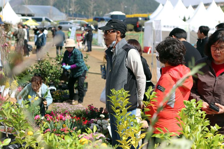 24회 옥천묘목축제(사진=옥천군 제공) *재판매 및 DB 금지