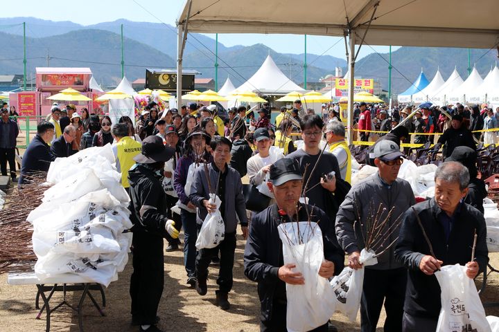 24회 옥천묘목축제(사진=옥천군 제공) *재판매 및 DB 금지
