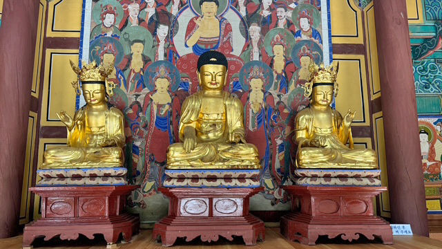 [임실=뉴시스] 전북도 유형문화유산에 고시된 임실 관촌면 신흥사의 '목조석가여래삼존불 및 대좌'. *재판매 및 DB 금지