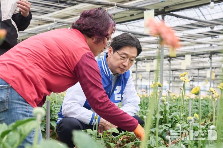 [김해=뉴시스]16일 오전 김경수 더불어민주당 경남도지사 후보가 김해 대동면에서 화훼업계 간담회를 마친 후 꽃 재배 하우스를 찾아 생육 상태를 살펴보고 있다.(사진=김경수후보 선거사무소 제공) 0226.04.06. photo@newsis.com