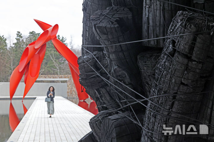 [원주=뉴시스] 박진희 기자 = 한솔문화재단의 뮤지엄 SAN은 6일 강원 원주시 뮤지엄 산에서 한국 현대 미술 작가 이배의 개인전 'En attendant: 기다리며' 기자간담회를 갖고 숯을 매개로 자연과 인간, 시간과 존재가 교차하는 관계망을 심층적으로 조망한 작품 '불로부터(Issu du feu)' 부분 모습이 보이고 있다. 이번 전시는 뮤지엄 SAN 개관 이래 최초로 선보이는 국내 작가 개인전이다. 2026.04.06. pak7130@newsis.com