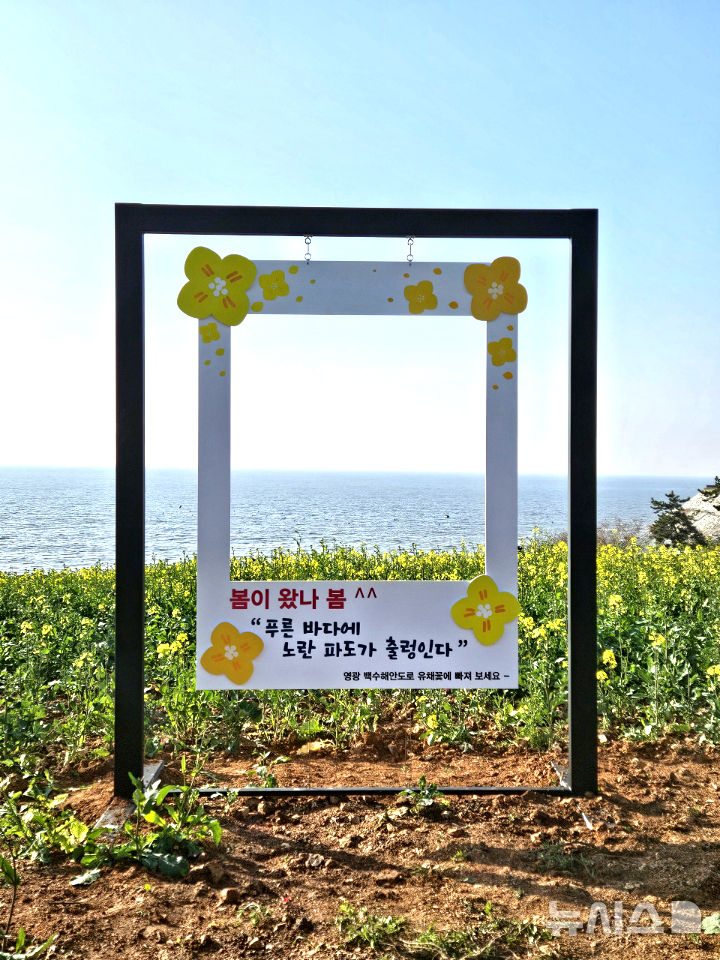 [영광=뉴시스] 전남 영광군 백수해안도로 일대에 유채꽃이 만개해 바다와 어우러진 봄 풍경을 연출하고 있다. (사진=영광군 제공) 2026.04.06. photo@newsis.com