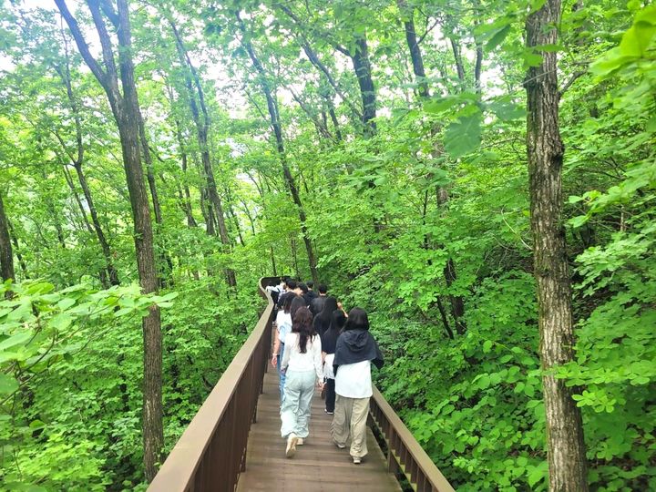 [횡성=뉴시스] '국민마음건강' 프로그램에 참여한 참가자들이 자연 속에서 산림치유 활동을 하고 있다. (사진=횡성군 제공) 2026.04.07. photo@newsis.com *재판매 및 DB 금지