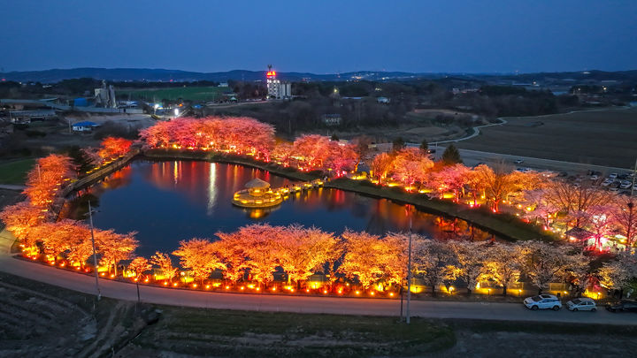 충남 당진 면천 골정지 야경