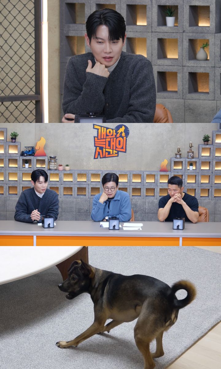 [서울=뉴시스] 손태진은 오는 8일 오후 10시 방송되는 채널A 예능 프로그램 '개와 늑대의 시간2' 13회에 스페셜 MC로 출연한다. (사진=채널A) 2026.04.07. photo@newsis.com *재판매 및 DB 금지