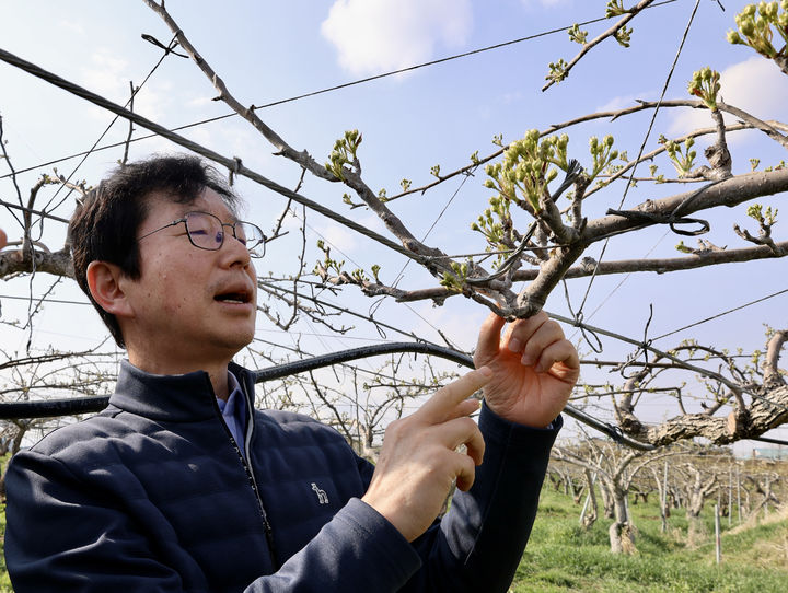 [천안=뉴시스] 농촌진흥청이 봄철 이상저온에 따른 과수 피해를 줄이기 위해 자체 연구 중인 동결보호제를 실증하고 상용화를 추진한다고 7일 밝혔다. (사진 = 농진청 제공) 2026.04.07. *재판매 및 DB 금지