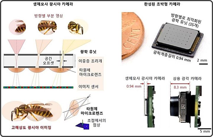 [대전=뉴시스] 카이스트(KAIST)가 개발한 곤충 시각원리를 모사한 카메라 구조 개념도 및 제작된 초박형 카메라.(사진=카이스트 제공) *재판매 및 DB 금지