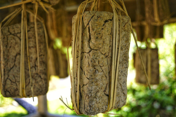 [서울=뉴시스] 된장에 발암물질이 포함돼 있다는 전문가의 의견이 나왔다. (사진=유토이미지) *재판매 및 DB 금지