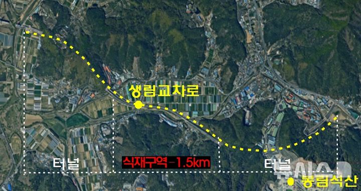 [김해=뉴시스]김해 낙동강대로 이팝나무 가로수길. (사진=김해시 제공). 2026.04.08. photo@newsis.com