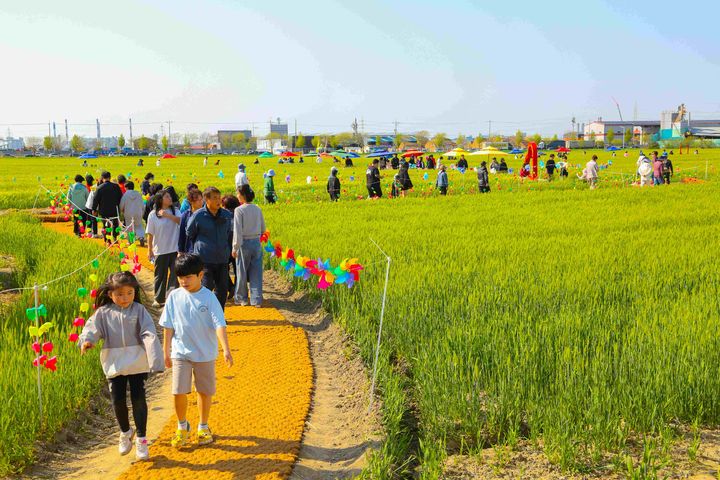 2025 군산꽁당보리축제 전경(사진=군산시 제공) *재판매 및 DB 금지