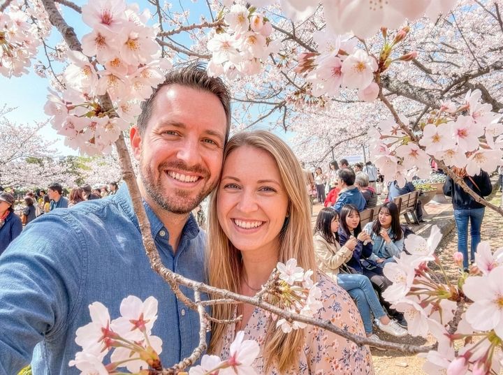 서울∙부산 출발 진해군항제 일일 투어. (사진=클룩) *재판매 및 DB 금지