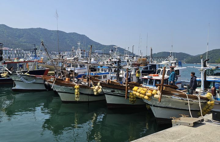 [통영=뉴시스] 신정철 기자= 경남 통영시는 연안어선 세력을 어업자원에 적합한 수준으로 감척해 수산자원 회복을 도모하기 위해 68척의 연안어선 감척사업을 실시한다고 8일 밝혔다.사진은 지난해 통영시 미수항에 정박중인 감척 대상 어선 모습.(사진=통영시 제공).2026.04.08. photo@newsis.com *재판매 및 DB 금지