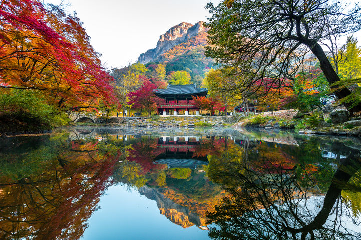 [쟁성=뉴시스] 장성 백양사 쌍계루. (사진 = 전남도 제공). 2026.04.08. photo@newsis.com *재판매 및 DB 금지