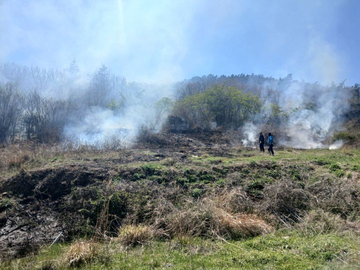 [진도=뉴시스] 8일 오후 1시3분께 전남 진도군 조도면 한 야산에서 불이 나 산림 당국이 진화 중이다. (사진 = 전남소방본부 제공) photo@newsis.com *재판매 및 DB 금지