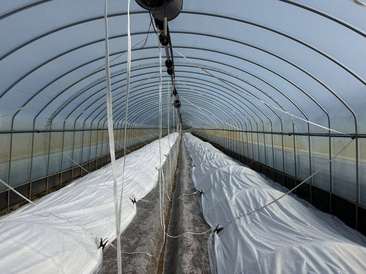 영동군 수박재배 자동화개폐기 시범사업(사진=영동군 제공) *재판매 및 DB 금지