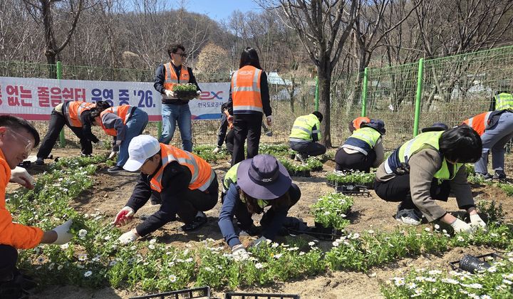 [원주=뉴시스] 졸음쉼터 봄꽃 식재. (사진=한국도로공사 강원본부 제공) 2026.04.08. photo@newsis.com *재판매 및 DB 금지