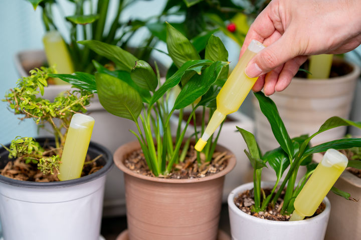 [서울=뉴시스] 영국의 한 스타트업이 행사장에서 수거한 소변을 활용해 나무를 키우는 프로젝트를 진행해 화제를 모으고 있다. (사진=유토이미지) *재판매 및 DB 금지