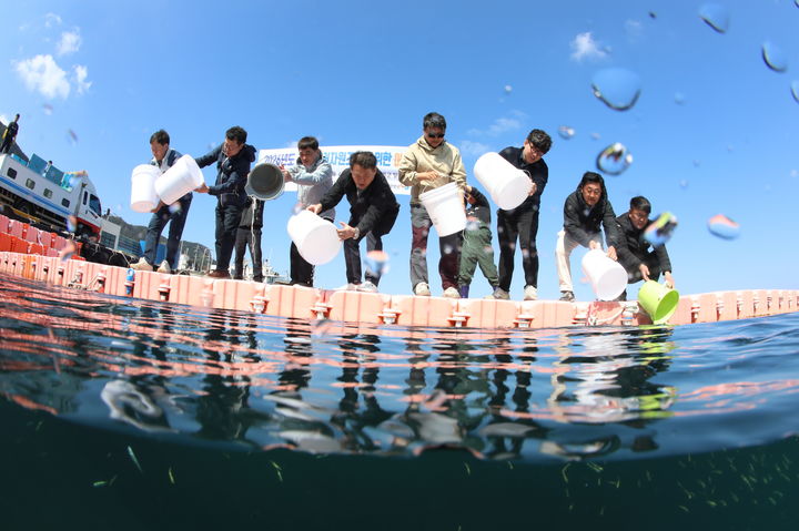 [부산=뉴시스] 8일 울릉군 현포항 일원 해역에서 어린 연어 10만 마리가 방류되고 있다. (사진=한국수산자원공단 제공) 2026.04.08. photo@newsis.com *재판매 및 DB 금지