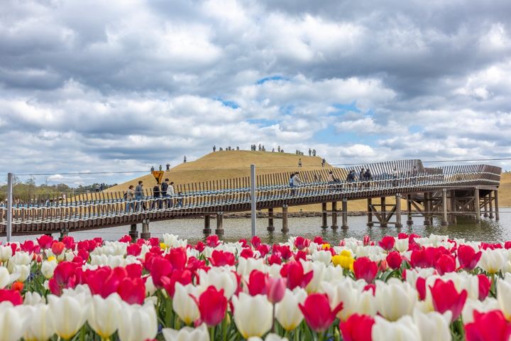 [순천=뉴시스] 순천만국가정원 호수 정원. (사진=순천시 제공) 2026.04.08. photo@newsis.com *재판매 및 DB 금지
