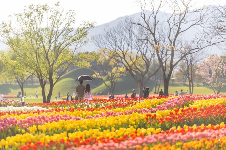 [순천=뉴시스] 순천만국가정원 노을 정원. (사진=순천시 제공) 2026.04.08. photo@newsis.com *재판매 및 DB 금지