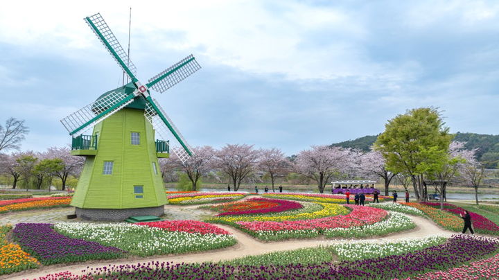 [순천=뉴시스] 순천만국가정원 네덜란드 정원. (사진=순천시 제공) 2026.04.08. photo@newsis.com *재판매 및 DB 금지