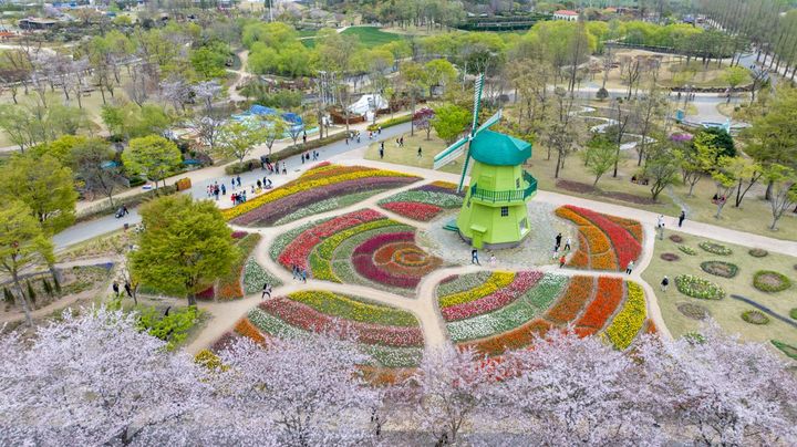 [순천=뉴시스] 순천만국가정원 네덜란드 정원. (사진=순천시 제공) 2026.04.08. photo@newsis.com *재판매 및 DB 금지