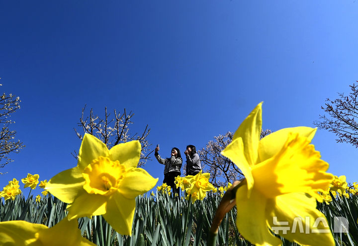 충남권 평년보다 낮 기온 높아…일교차 10~20도