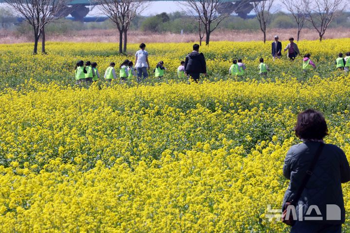  [부산=뉴시스] 하경민 기자 = 포근한 날씨를 보인 8일 부산 강서구 대저생태공원 유채꽃경관단지를 찾은 시민과 관광객들이 봄 나들이를 즐기고 있다. 2026.04.08. yulnetphoto@newsis.com