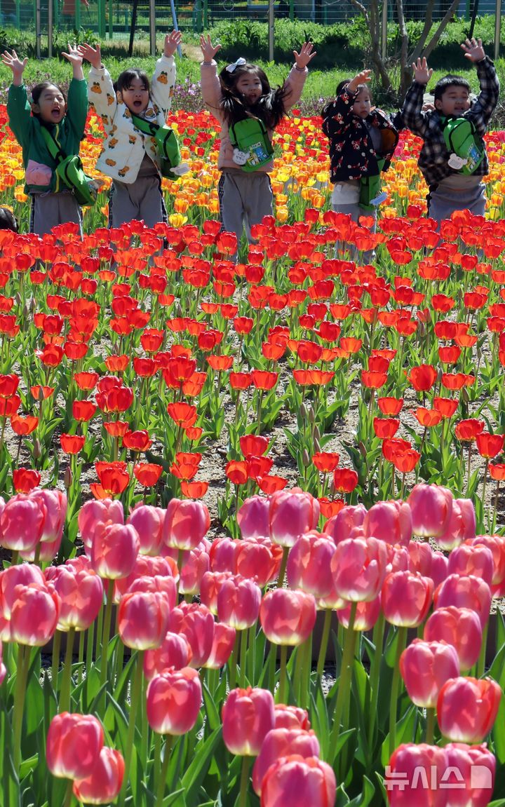  [부산=뉴시스] 하경민 기자 = 포근한 날씨를 보인 8일 부산 북구 화명생태공원을 찾은 어린이들이 활짝 핀 튤립을 배경으로 기념사진을 찍고 있다. 2026.04.08. yulnetphoto@newsis.com