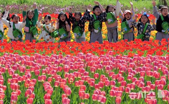  [부산=뉴시스] 하경민 기자 = 포근한 날씨를 보인 8일 부산 북구 화명생태공원을 찾은 어린이들이 활짝 핀 튤립을 배경으로 기념사진을 찍고 있다. 2026.04.08. yulnetphoto@newsis.com