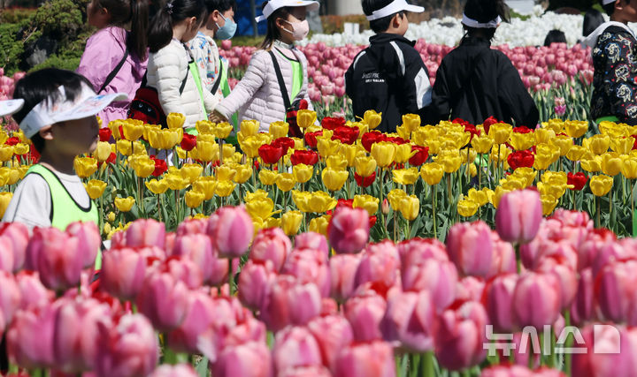  [부산=뉴시스] 하경민 기자 = 포근한 날씨를 보인 8일 부산 북구 화명생태공원을 찾은 어린이와 시민 등이 활짝 핀 튤립을 구경하고 있다. 2026.04.08. yulnetphoto@newsis.com