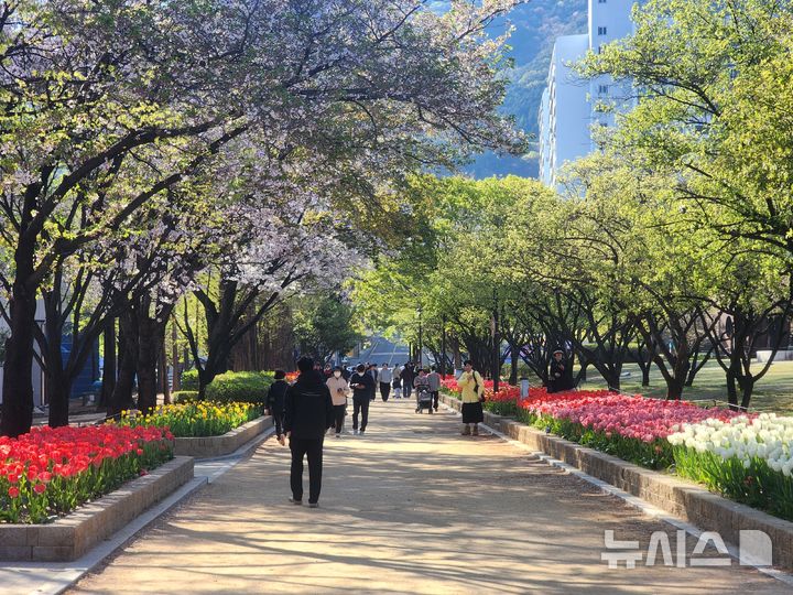 [김해=뉴시스]김해 연지공원 튤립. (사진=김해시 제공). 2026.04.09. photo@newsis.com