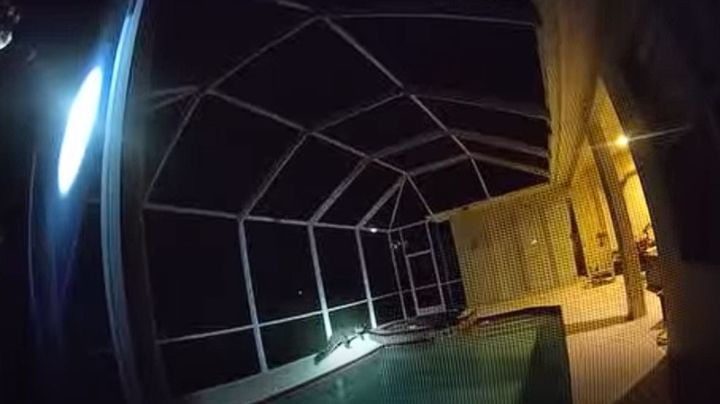 [서울=뉴시스] 지난 8일(현지시각) 미국 뉴욕포스트는 미국 플로리다주 탬파의 한 주택 수영장에 악어가 등장했다고 보도했다. 이 악어는 길이가 9피트(약 2.7m)에 달할 정도로 거대했다. (사진=탬파 경찰 페이스북 캡처)