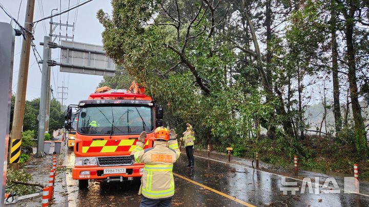 [제주=뉴시스] 강풍특보와 호우특보가 동시에 내려진 9일 오전 제주시 구좌읍에서 강풍에 의해 나무가 쓰러져 소방당국이 안전조치를 하고 있다. (사진=제주소방안전본부 제공) 2026.04.09. photo@newsis.com 