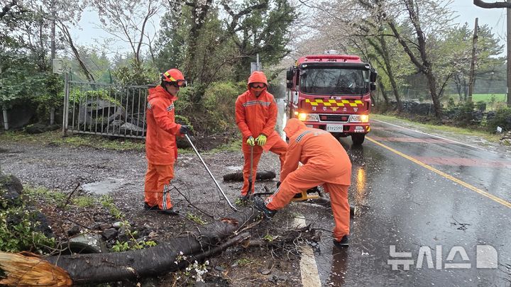 [제주=뉴시스] 강풍특보와 호우특보가 동시에 내려진 9일 오전 서귀포시 대포동에서 강풍에 나무가 쓰러져 소방당국이 안전 조치를 하고 있다. (사진=제주소방안전본부 제공) 2026.04.09. photo@newsis.com