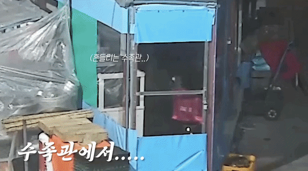 [서울=뉴시스] 지난달 16일 울산 중구의 한 전통시장에서 50대 남성 A씨가 문어를 비롯한 해산물을 훔쳤다. 이 남성은 상습 절도 혐의로 체포되어 재판에 넘겨졌다. (영상=경찰청 공식 유튜브 채널 캡처) *재판매 및 DB 금지