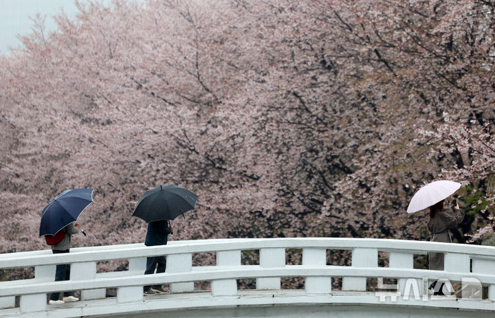 [서울=뉴시스] 조성우 기자 = 비가 내리는 9일 오후 서울 서초구 매헌시민의숲에서 우산을 쓴 시민들이 산책을 하고 있다. 2026.04.09. xconfind@newsis.com