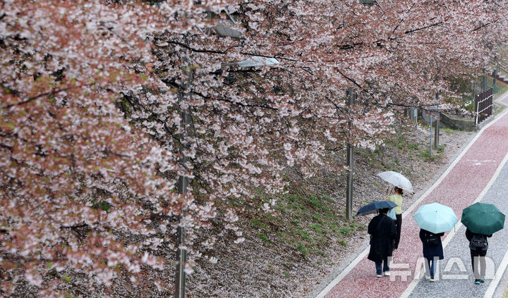 [서울=뉴시스] 조성우 기자 = 비가 내리는 9일 오후 서울 서초구 매헌시민의숲에서 우산을 쓴 시민들이 산책을 하고 있다. 2026.04.09. xconfind@newsis.com