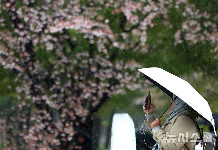 [서울=뉴시스] 조성우 기자 = 비가 내리는 9일 오후 서울 서초구 매헌시민의숲에서 우산을 쓴 시민이 사진을 찍고 있다. 2026.04.09. xconfind@newsis.com