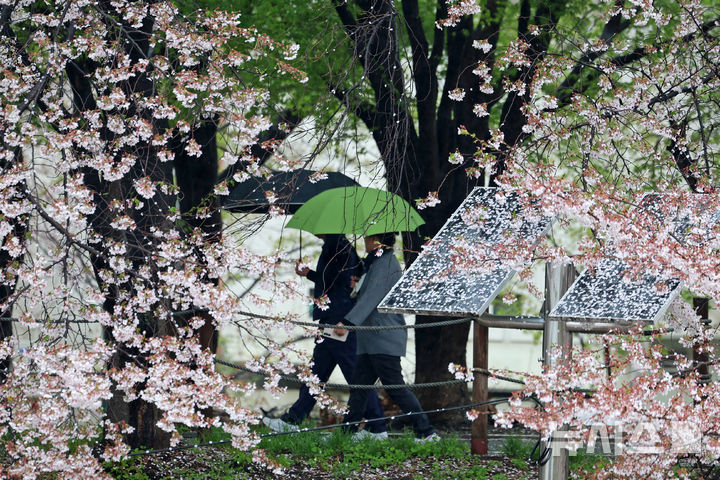 [서울=뉴시스] 조성우 기자 = 비가 내리는 9일 오후 서울 서초구 매헌시민의숲에서 우산을 쓴 시민들이 산책을 하고 있다. 2026.04.09. xconfind@newsis.com