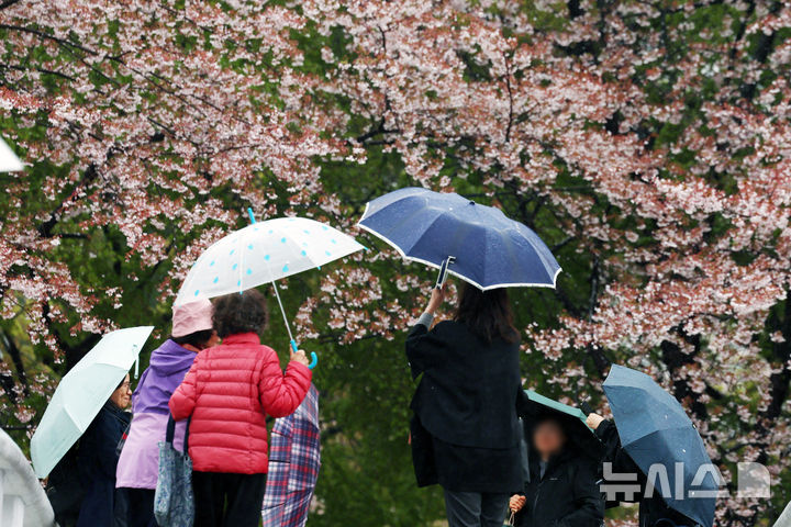 [서울=뉴시스] 조성우 기자 = 비가 내리는 9일 오후 서울 서초구 매헌시민의숲에서 우산을 쓴 시민들이 산책을 하고 있다. 2026.04.09. xconfind@newsis.com