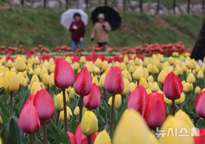 충남권 대기 매우 건조하며 일교차 '10~15도' 안팎