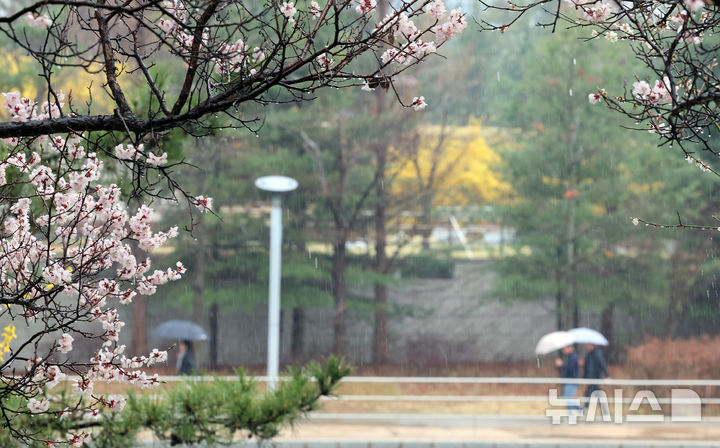 [인천=뉴시스] 전진환 기자 = 봄비가 내리는 9일 인천 연수구 송도 센트럴파크에서 시민들이 우산을 쓰고 산책을 하고 있다. 2026.04.09. amin2@newsis.com