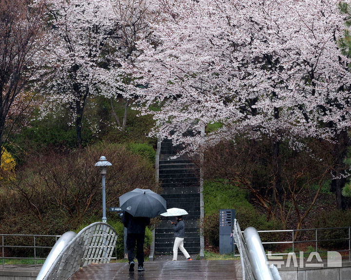 [인천=뉴시스] 전진환 기자 = 봄비가 내리는 9일 인천 연수구 송도 센트럴파크에서 시민들이 우산을 쓰고 산책을 하고 있다. 2026.04.09. amin2@newsis.com