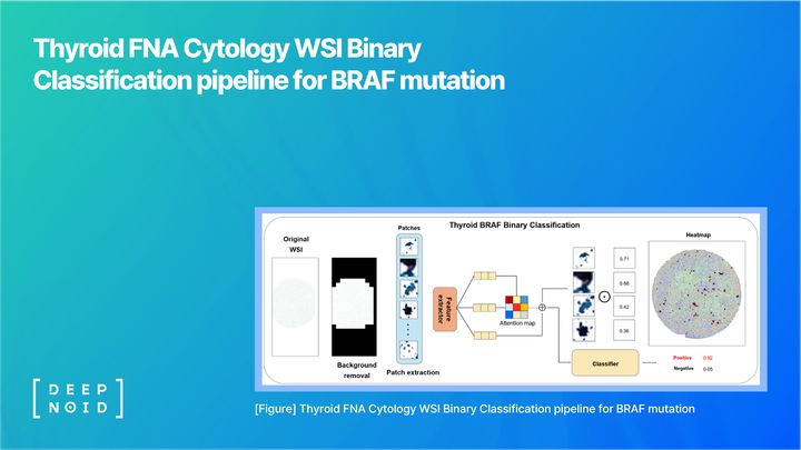 [서울=뉴시스] 의료 AI 전문기업 딥노이드는 딥노이드가 가톨릭대학교 의정부성모병원 및 성빈센트병원과의 공동연구를 통해 갑상선 세포 디지털 이미지만으로 BRAF 돌연변이 여부를 예측해 내는 연구 성과를 이뤄냈다고 10일 밝혔다. (사진=딥노이드 제공) 2026.04.10. photo@newsis.com *재판매 및 DB 금지