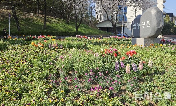 [이천=뉴시스] 이천시가 봄을 맞아 설봉공원에 초화류를 식재했다 (사진=이천시 제공) 2026.04.11.photo@newsis.com