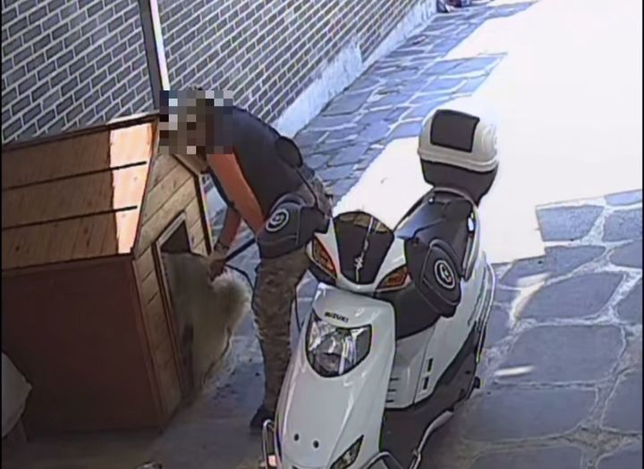 [대전=뉴시스] 남의 집 마당에서 개를 강제로 끌고 간 개장수가 경찰에 입건됐다.(사진=온라인 커뮤니티 스레드 갈무리) 2026.04.10. photo@newsis.com *재판매 및 DB 금지